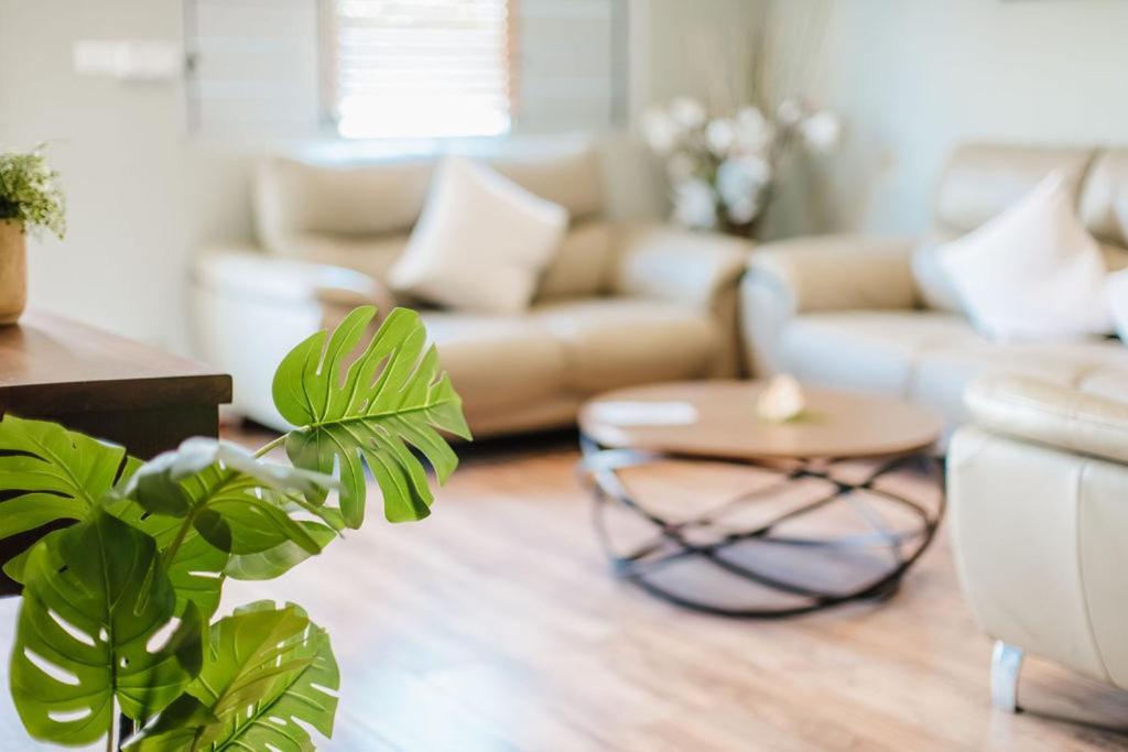 Platinum Cawa Apartments Nadi Ngoại thất bức ảnh